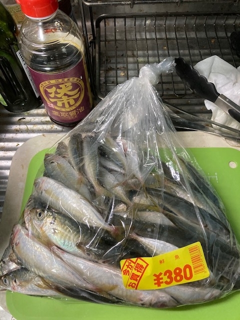 f:id:fukumotominority:20200923203818j:plain