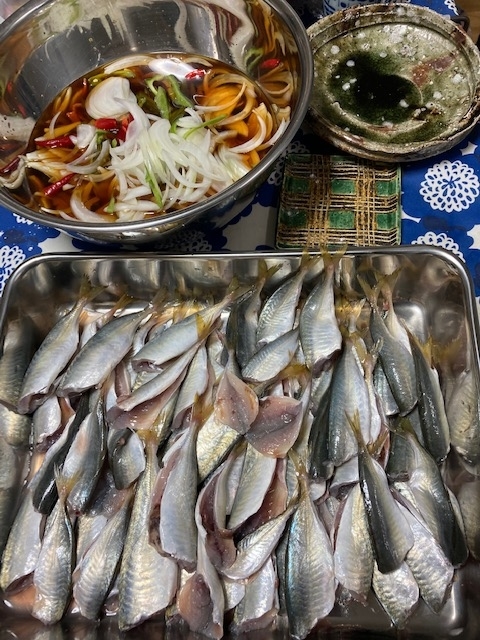 f:id:fukumotominority:20200923204255j:plain