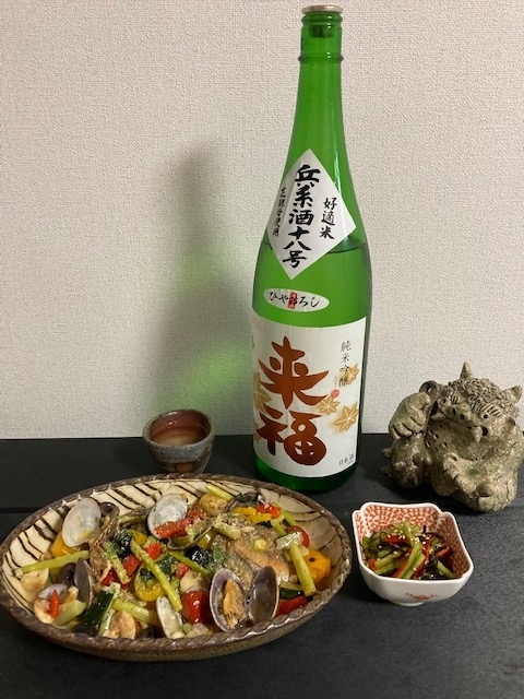 f:id:fukumotominority:20200927103819j:plain f:id:fukumotominority:20200927103819j:plain