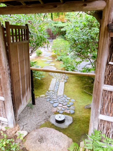 f:id:fukumotominority:20201004213938j:plain f:id:fukumotominority:20201004213938j:plain