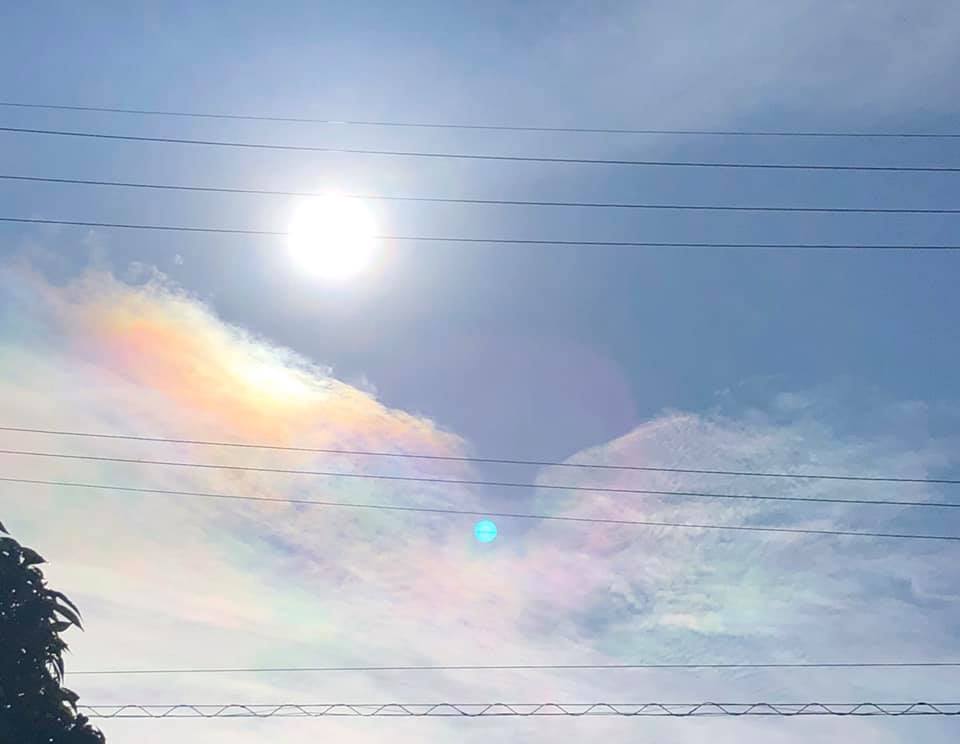 f:id:fukuneko0202:20200111142754j:plain f:id:fukuneko0202:20200111142754j:plain