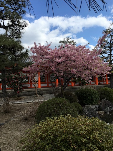 f:id:fukunohitoritabi:20170326001300j:image f:id:fukunohitoritabi:20170326001300j:image