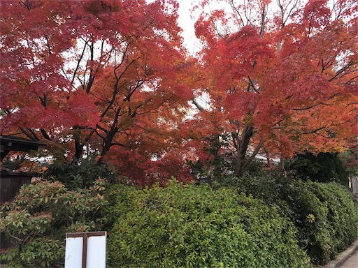 f:id:fukunohitoritabi:20171122221034j:image f:id:fukunohitoritabi:20171122221034j:image