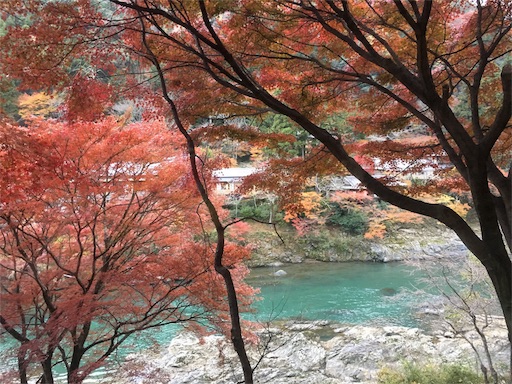 f:id:fukunohitoritabi:20171122222805j:image f:id:fukunohitoritabi:20171122222805j:image