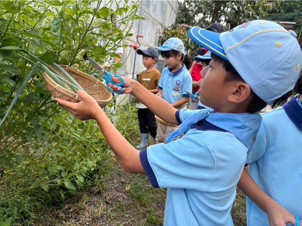 f:id:fukuoka19:20251014134033j:image