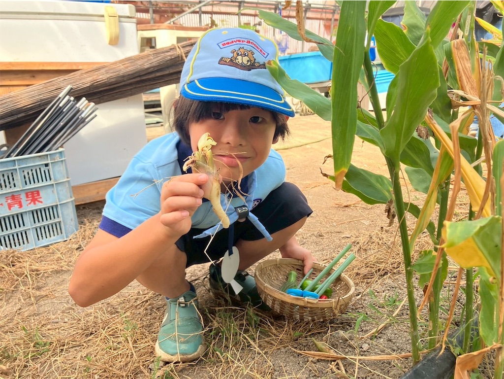 f:id:fukuoka19:20251014134200j:image