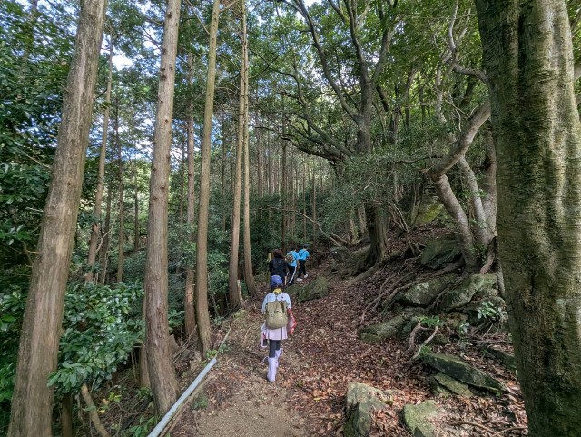 f:id:fukuoka19:20251103224538j:image