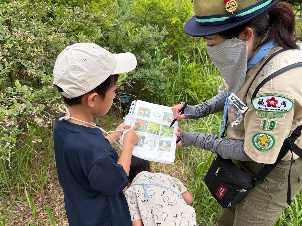 f:id:fukuoka19:20260630194035j:image f:id:fukuoka19:20260630194035j:image
