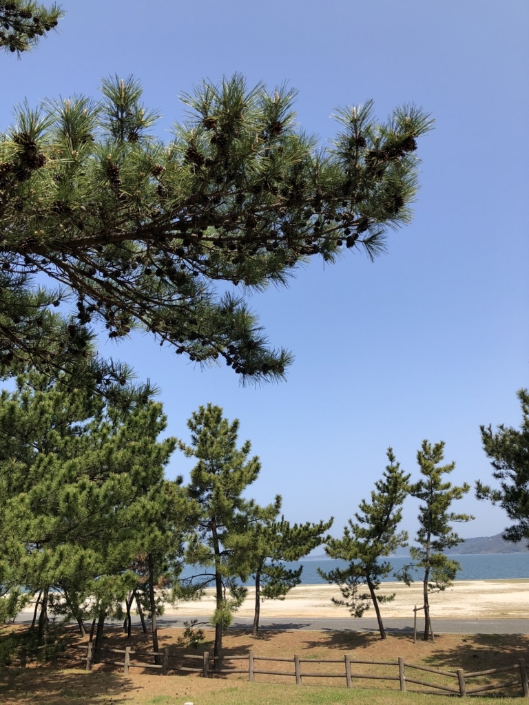 f:id:fukuokacs2015:20180403001832j:plain