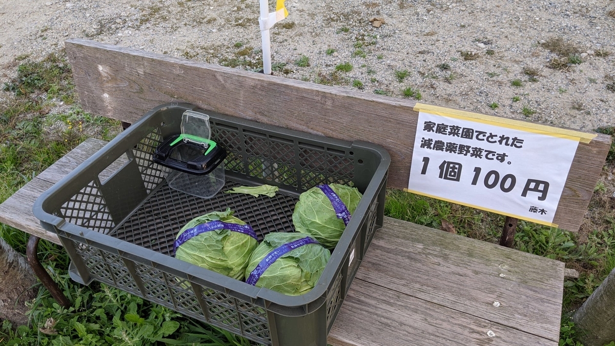f:id:fukuokadays:20201210090609j:plain