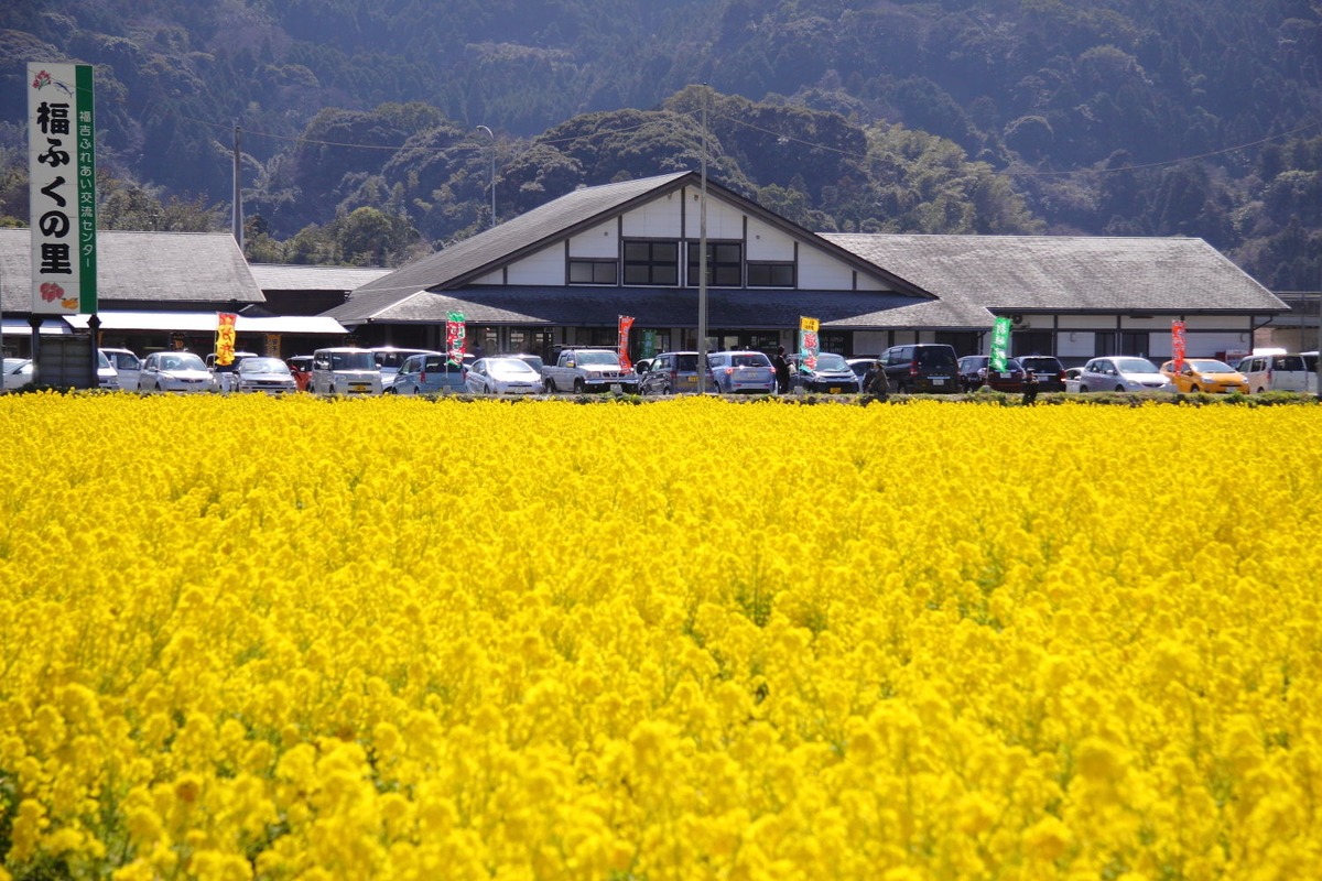 f:id:fukuokadays:20201213131243j:plain