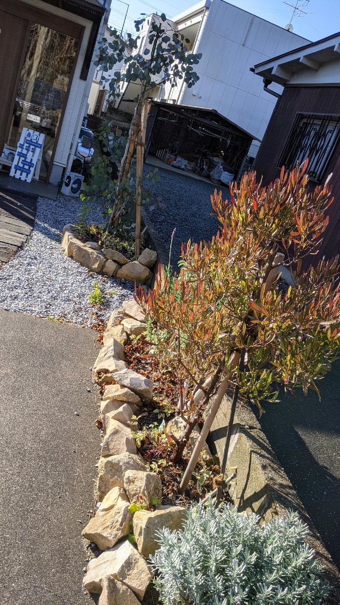 f:id:fukuokadays:20201228113758j:plain