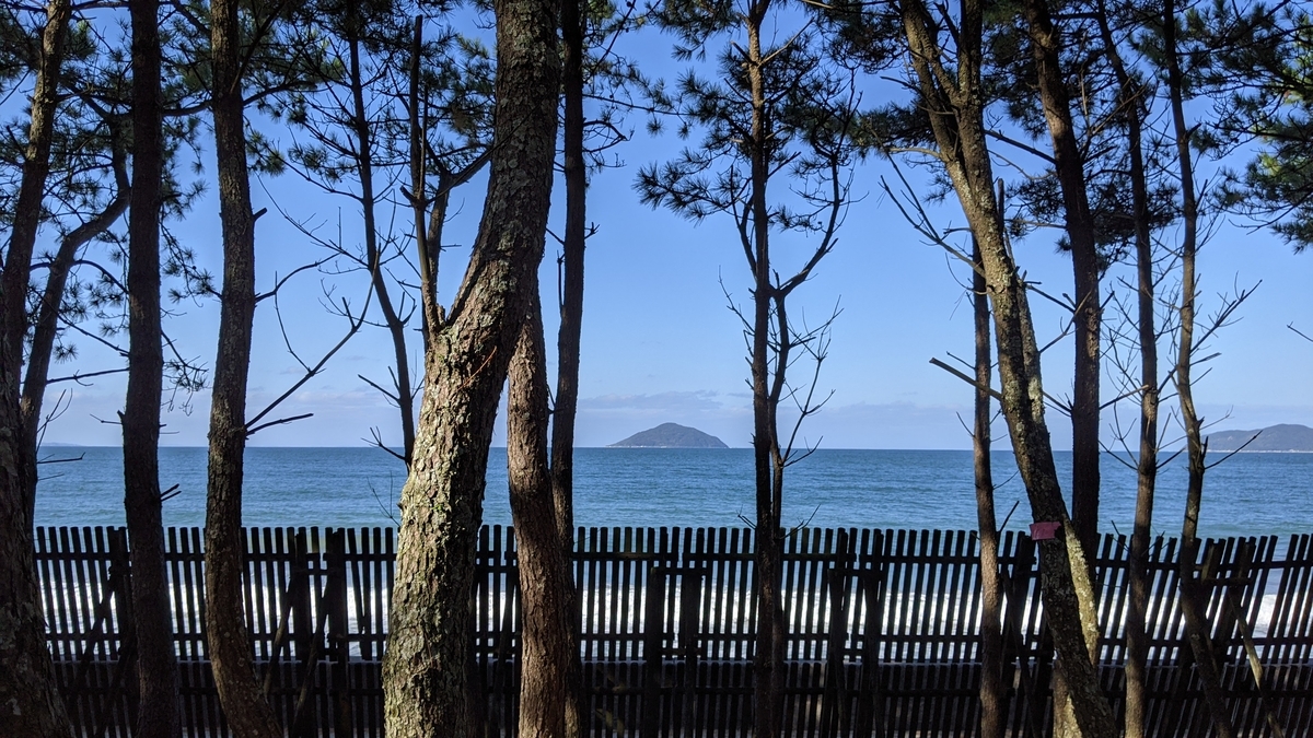 f:id:fukuokadays:20210104140234j:plain
