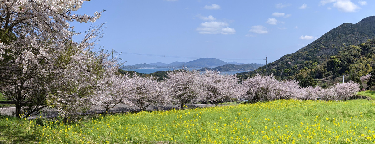 f:id:fukuokadays:20210109133307j:plain