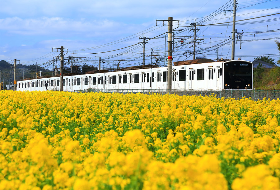 f:id:fukuokadays:20210110103118j:plain