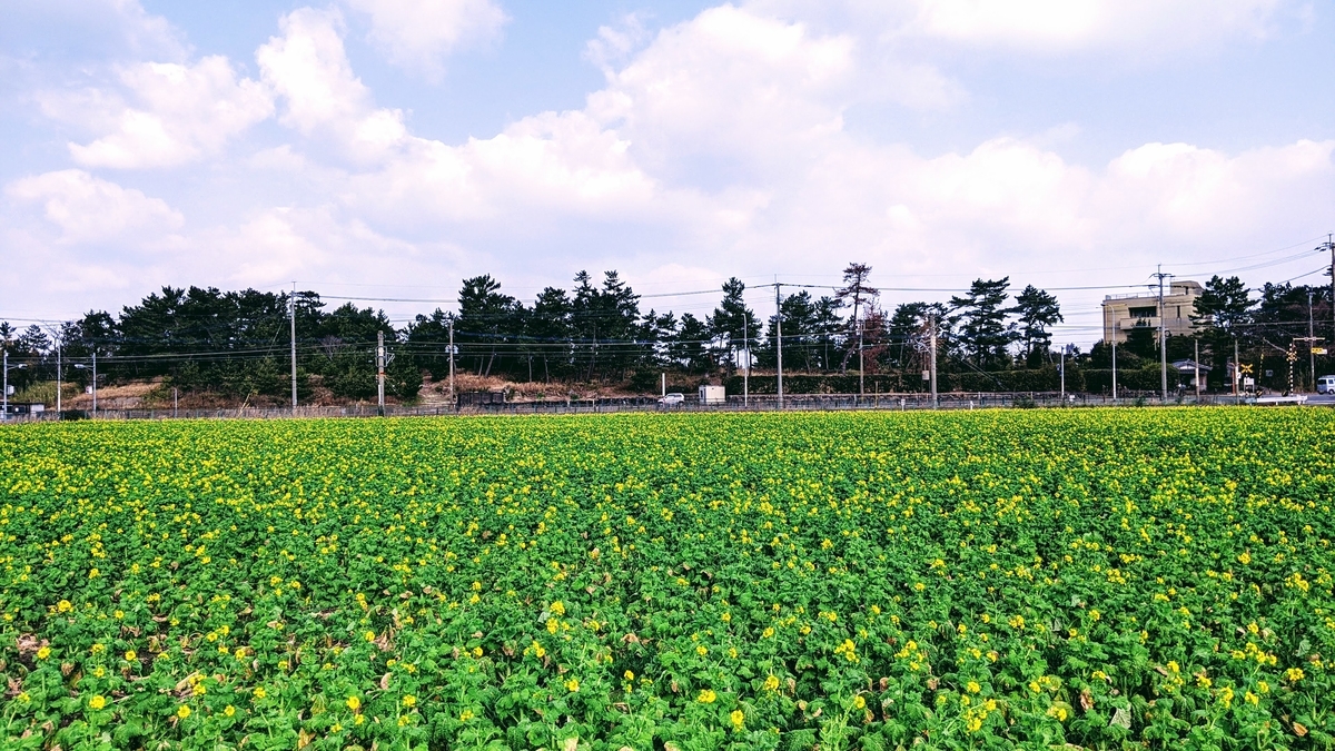 f:id:fukuokadays:20210130132250j:plain
