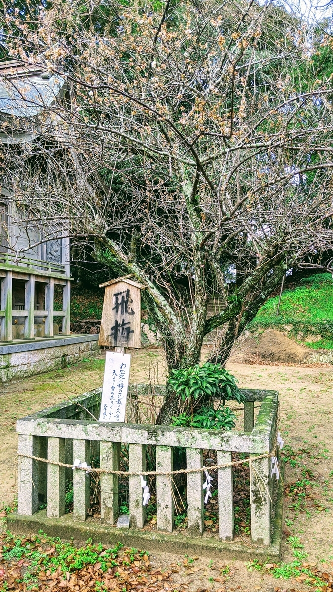 f:id:fukuokadays:20210313113018j:plain