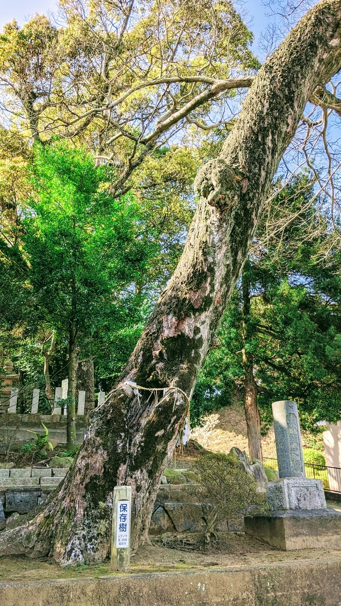 f:id:fukuokadays:20210326064954j:plain