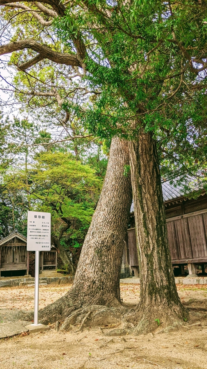f:id:fukuokadays:20210407105918j:plain