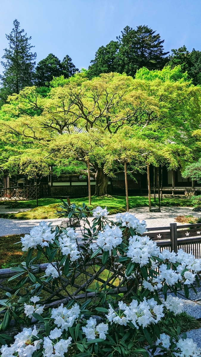 f:id:fukuokadays:20210409121108j:plain