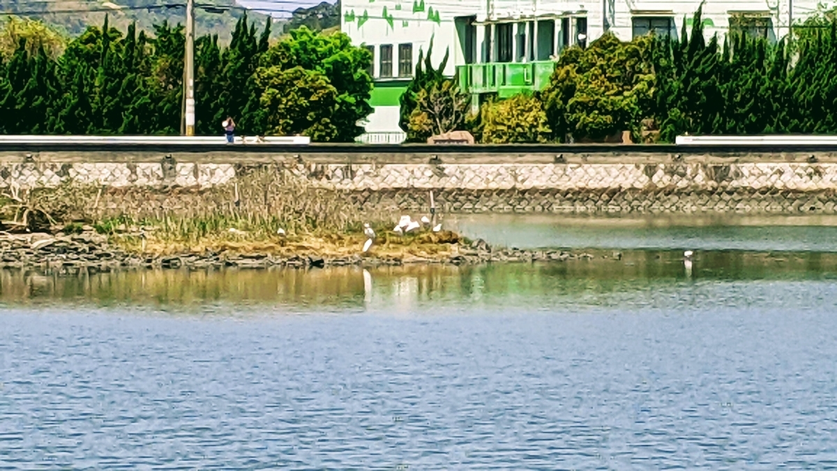 f:id:fukuokadays:20210420125904j:plain