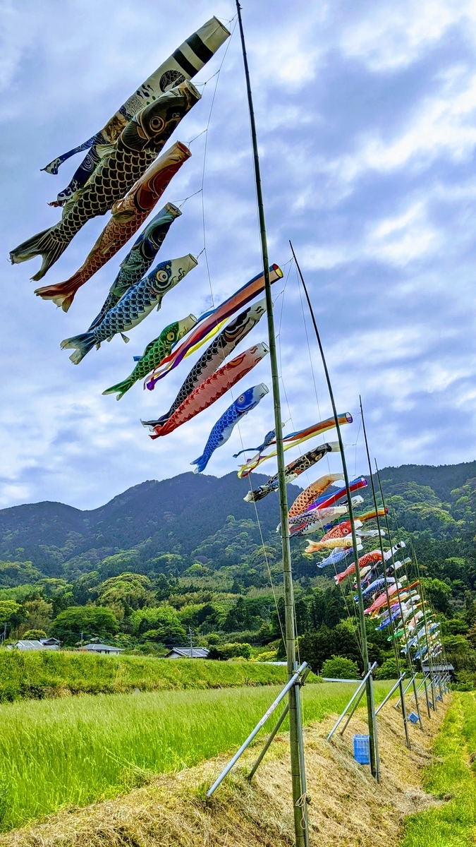 f:id:fukuokadays:20210424154355j:plain