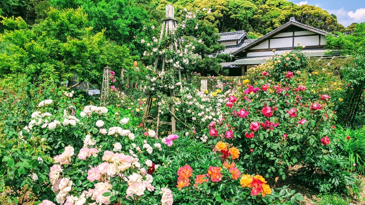 f:id:fukuokadays:20210502114506j:plain