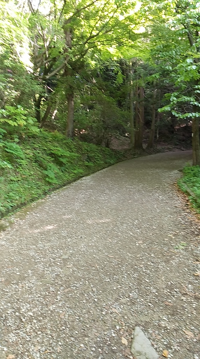 f:id:fukuokadays:20210518174226j:plain