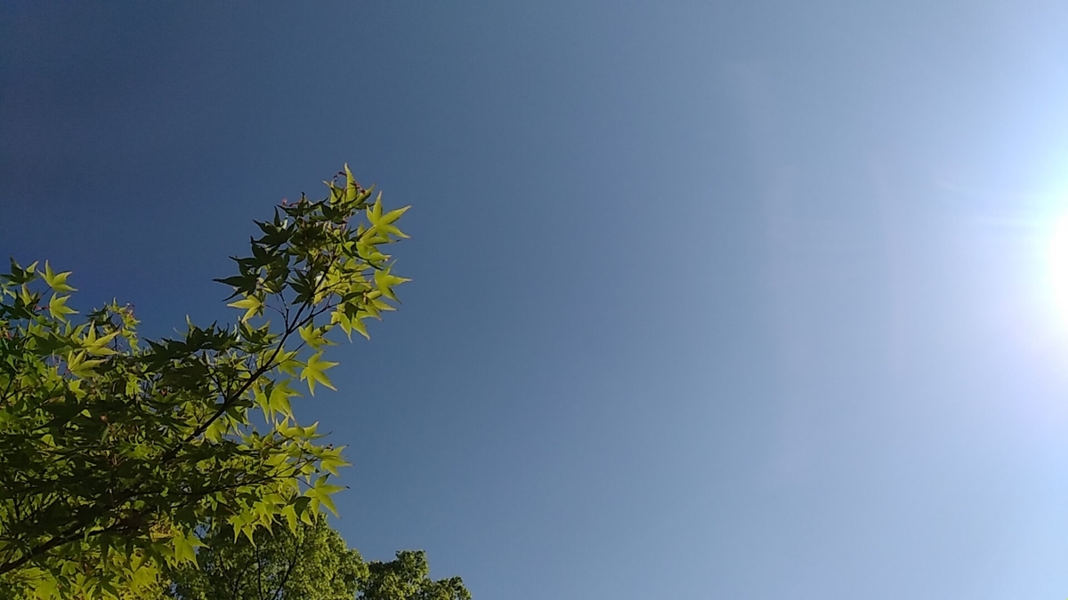 f:id:fukuokadays:20210518175158j:plain