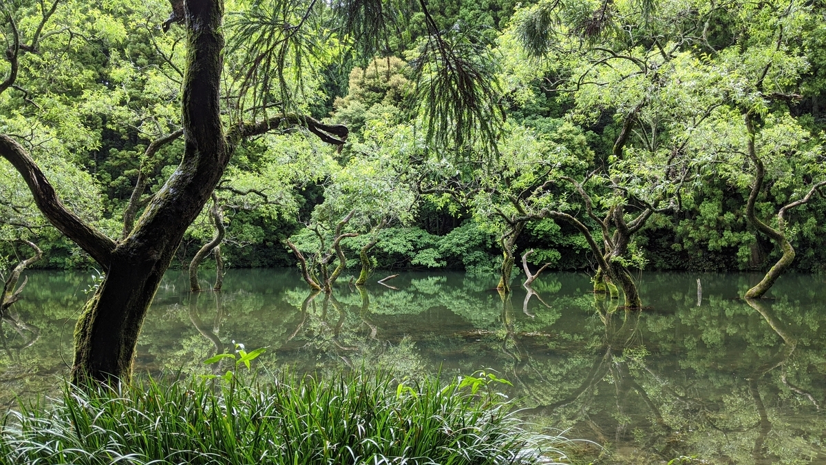 f:id:fukuokadays:20210527105202j:plain