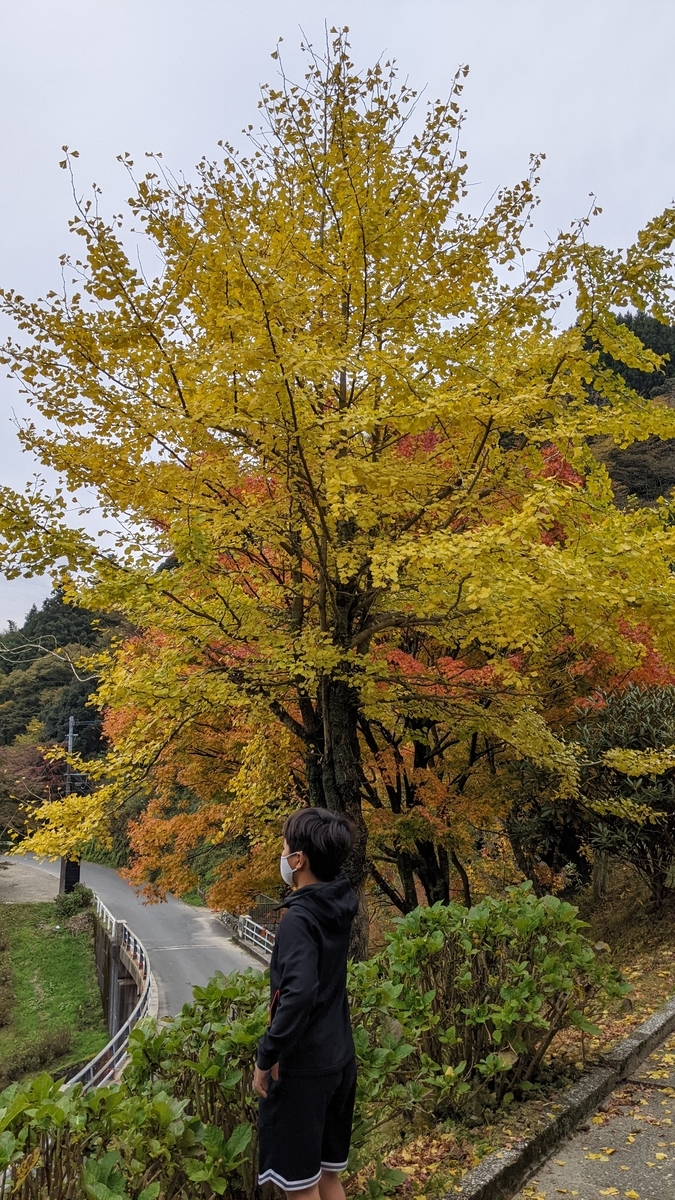 f:id:fukuokadays:20211107112413j:plain