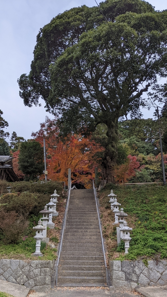 f:id:fukuokadays:20211123091856j:plain