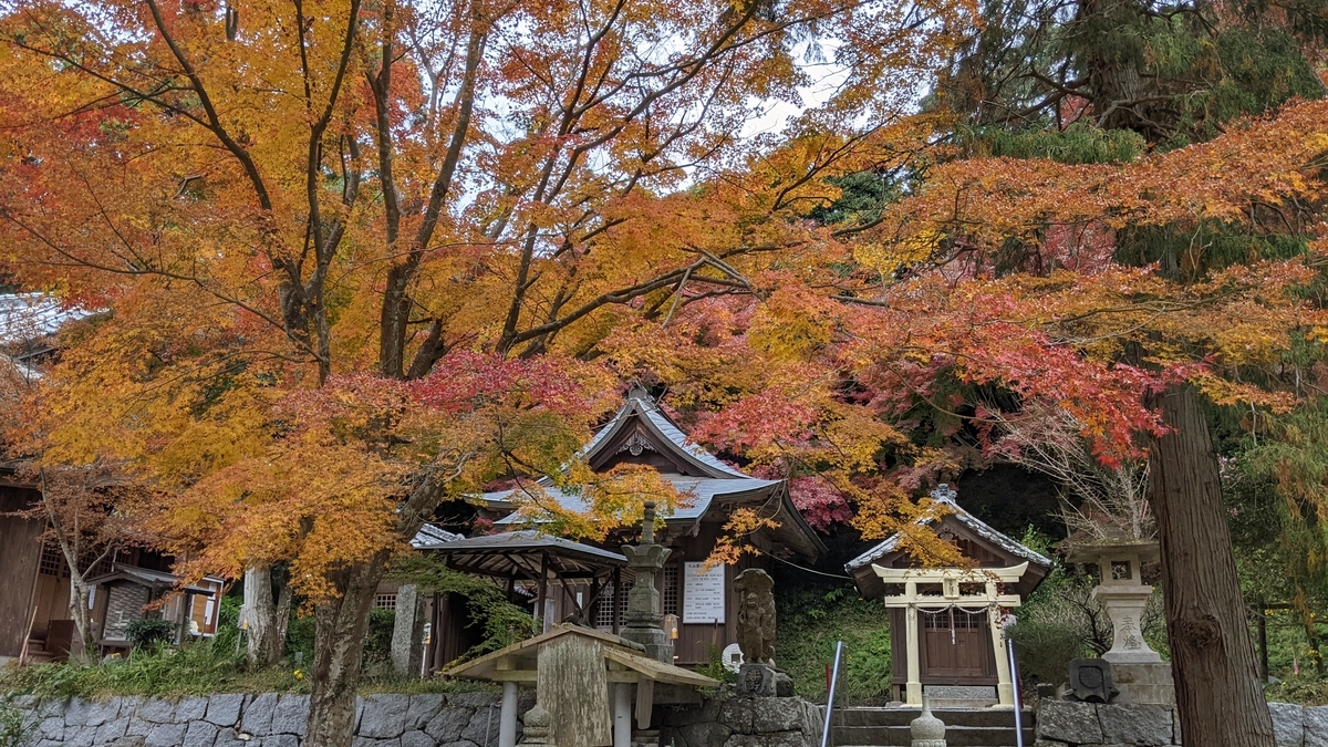 f:id:fukuokadays:20211123091906j:plain