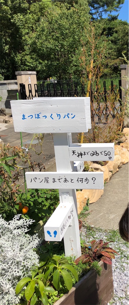 f:id:fukuokapapa:20190817075232j:image f:id:fukuokapapa:20190817075232j:image