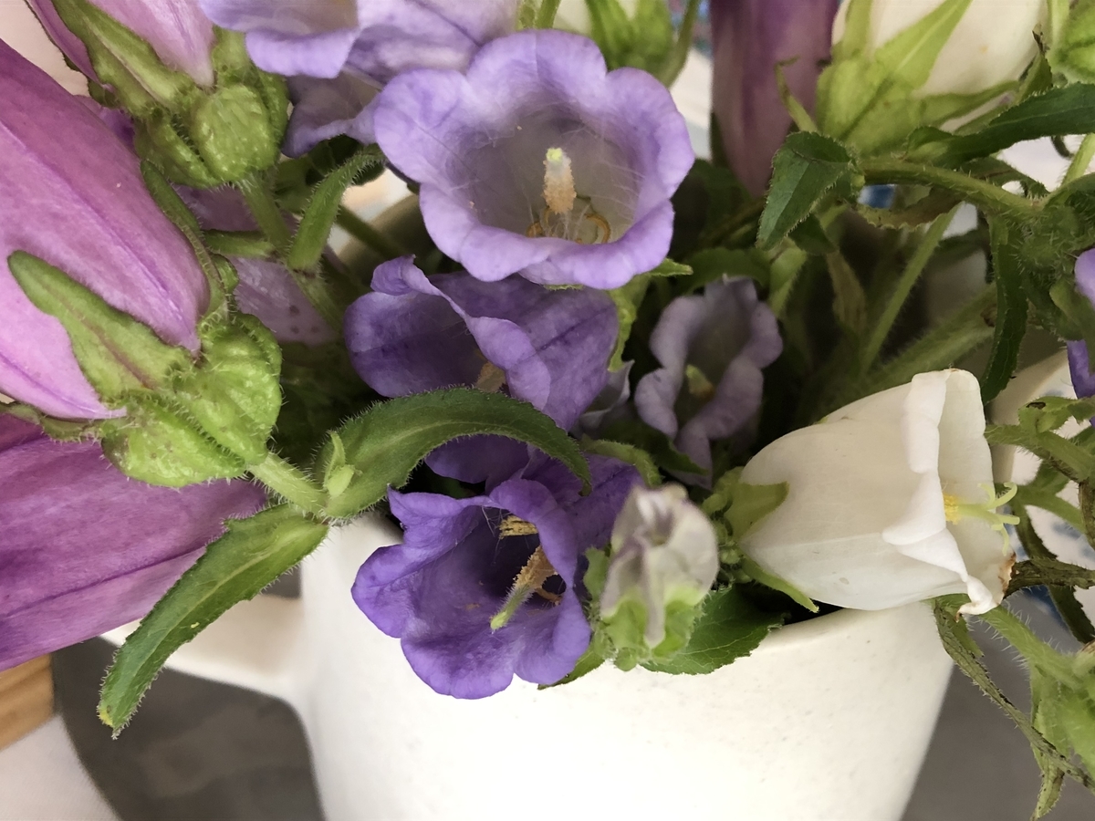 f:id:fukuokatenjin:20190607153226j:plain f:id:fukuokatenjin:20190607153226j:plain