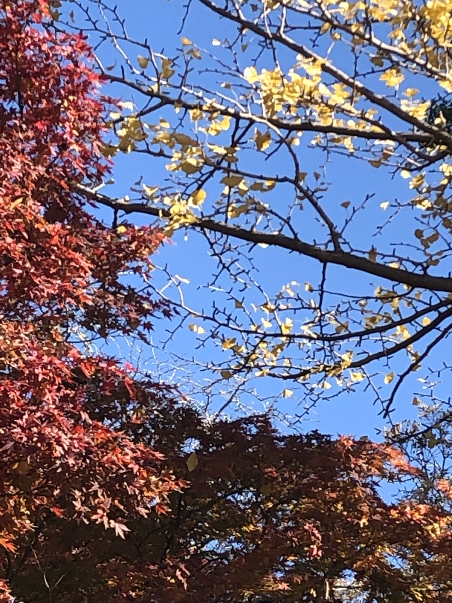 f:id:fukuokatenjin:20191203160242j:plain f:id:fukuokatenjin:20191203160242j:plain