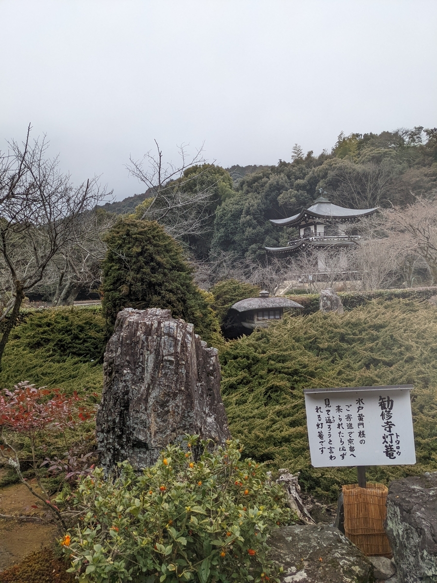 f:id:fukuponponpon:20220124032748j:plain