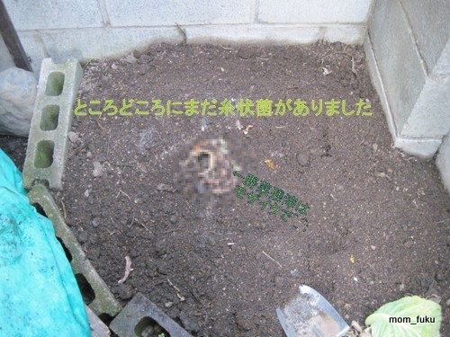 イメージ 4