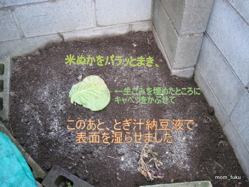 イメージ 5