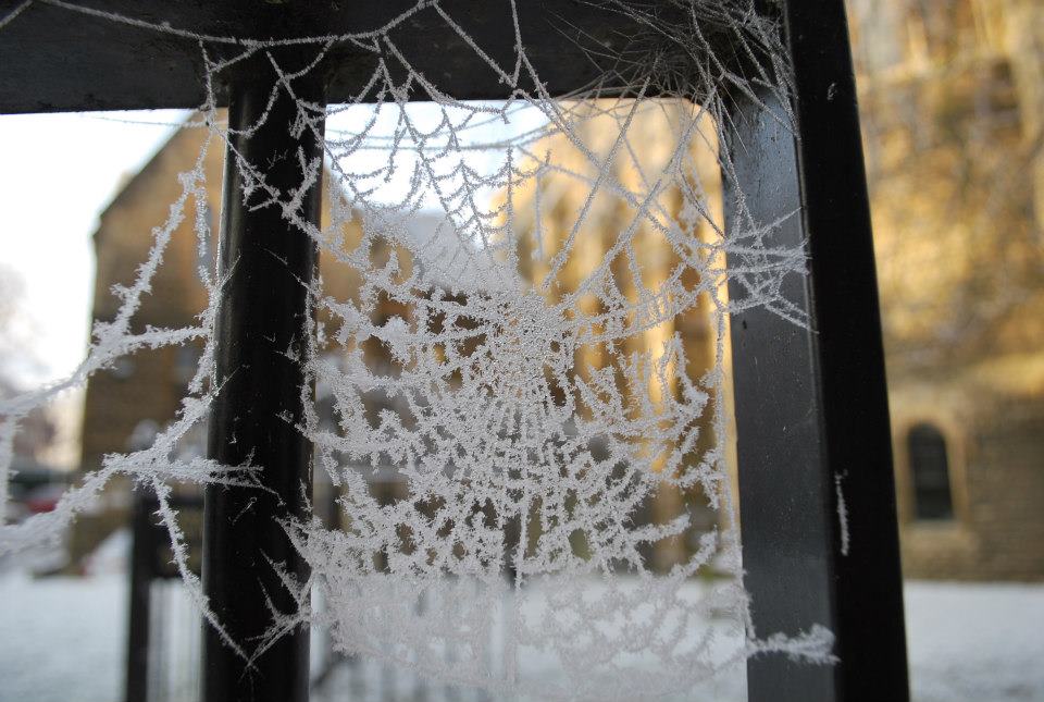 f:id:fukurowl:20170106223042j:plain f:id:fukurowl:20170106223042j:plain