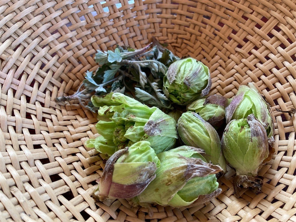 f:id:fukushima-straw:20220305163421j:image