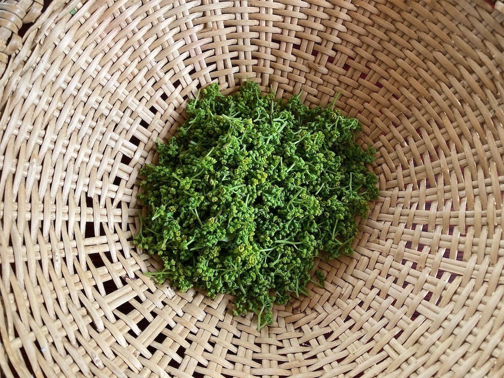 f:id:fukushima-straw:20220422205123j:image