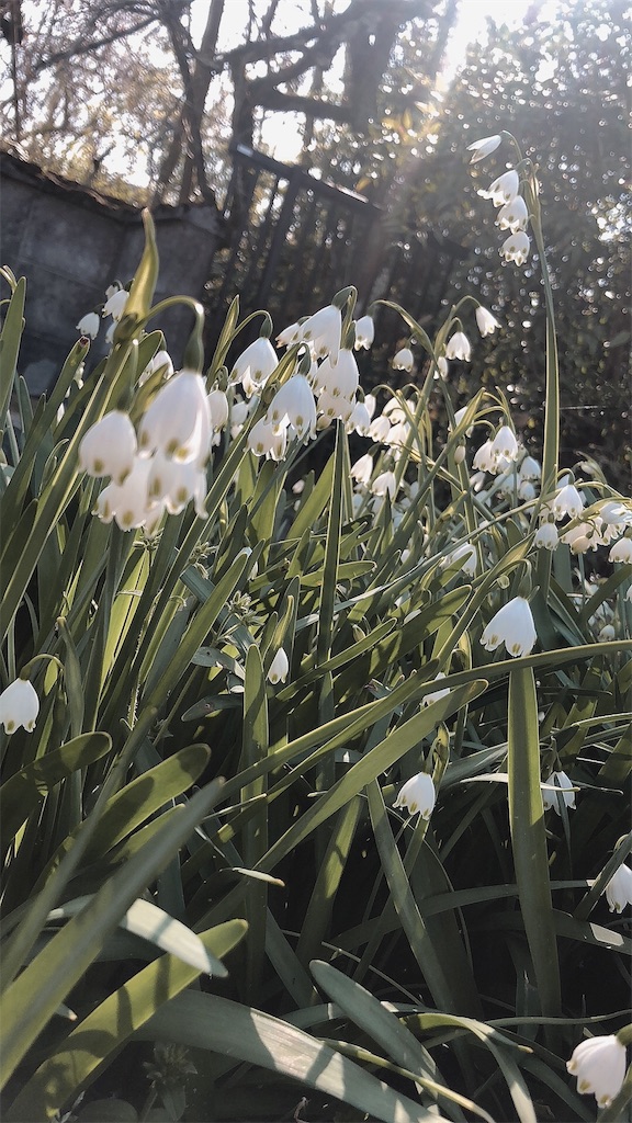 f:id:fukushusuru-kara:20190416212705j:image f:id:fukushusuru-kara:20190416212705j:image