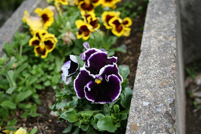 Photo_216 Photo_216