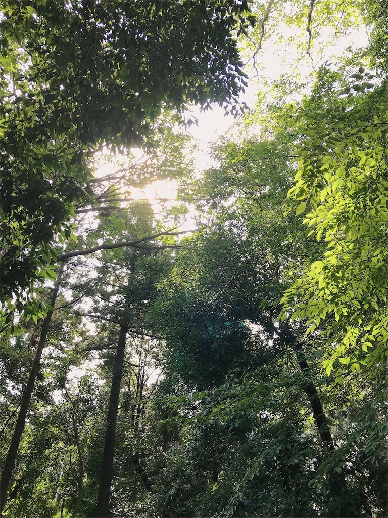 f:id:fukusk33:20181017182102j:image