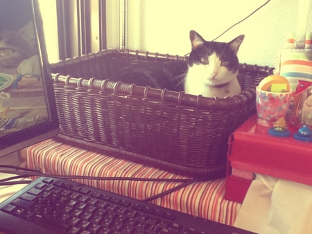 f:id:fukusuke-m:20121004164908j:image:w360 f:id:fukusuke-m:20121004164908j:image:w360