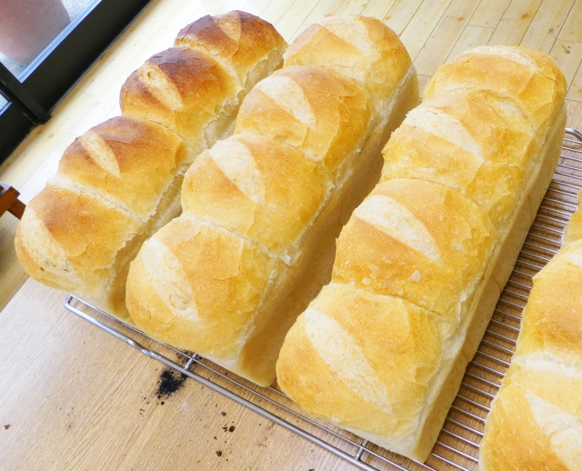 f:id:fukusuke33:20190105210753j:plain f:id:fukusuke33:20190105210753j:plain
