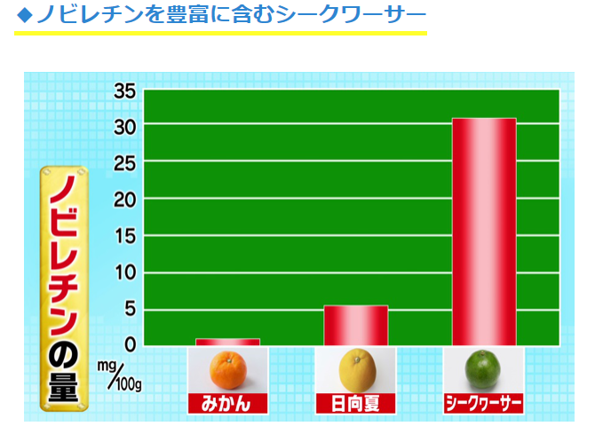 f:id:fukusunosaifu:20191113095346p:plain