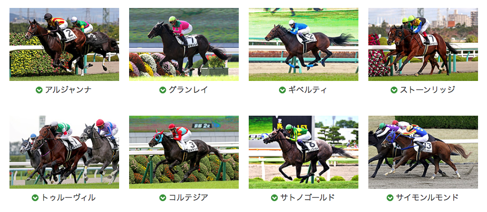 20年きさらぎ賞（G3）・予想 - パパのお小遣い競馬