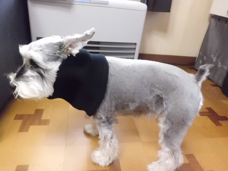 f:id:fukutani2323:20130224102324j:image:w360 f:id:fukutani2323:20130224102324j:image:w360